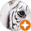 でがらしポニョ(黒丸) profile picture